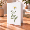 Daisy - April Birth Flower Card