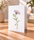 Aster - September Birth Flower Card